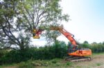 RABAUD XYLOCUT 310 PE | Fällgreifer für Bagger 13,0 bis 17,0 to. - Bild 5