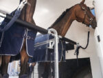 Humbaur Maximus 2700 - Bild 2