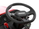 RPX360 Rasentraktor mit Heckauswurf - Bild 5