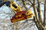 RABAUD XYLOCUT 300 | Fällgreifer für Teleskoplader - Bild 4