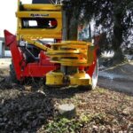 RABAUD XYLOCUT 300 | Fällgreifer für Teleskoplader - Bild 3