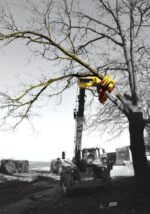 RABAUD XYLOCUT 300 | Fällgreifer für Teleskoplader - Bild 5